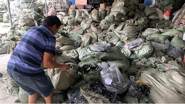 好色先生TVAPP回收行業潛力巨大，梯階利用勢在必行